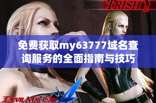 免费获取my63777域名查询服务的全面指南与技巧