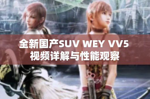 全新国产SUV WEY VV5 视频详解与性能观察