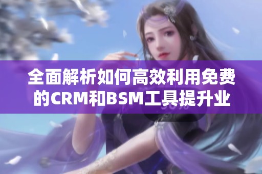 全面解析如何高效利用免费的CRM和BSM工具提升业务管理能力