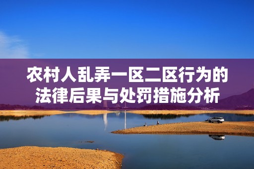 农村人乱弄一区二区行为的法律后果与处罚措施分析