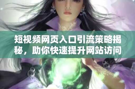 短视频网页入口引流策略揭秘，助你快速提升网站访问量