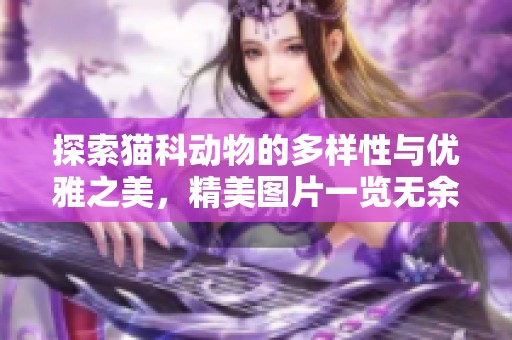 探索猫科动物的多样性与优雅之美，精美图片一览无余