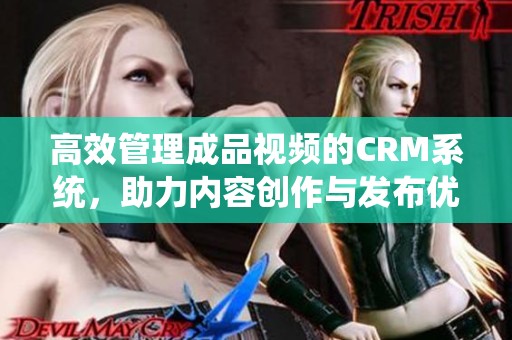 高效管理成品视频的CRM系统，助力内容创作与发布优化