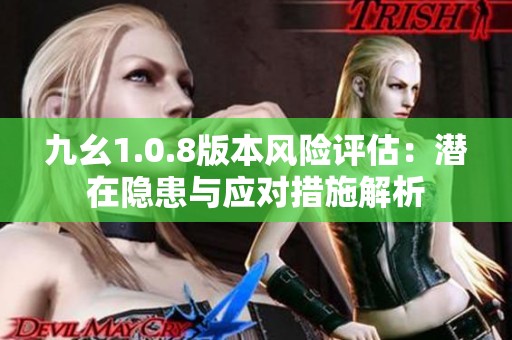 九幺1.0.8版本风险评估：潜在隐患与应对措施解析