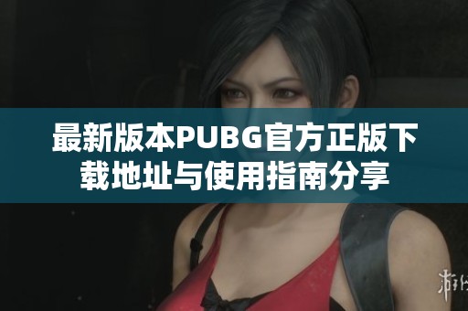 最新版本PUBG官方正版下载地址与使用指南分享