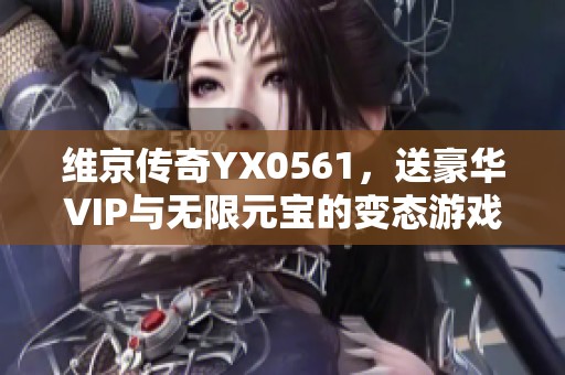 维京传奇YX0561，送豪华VIP与无限元宝的变态游戏体验