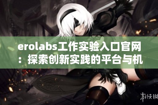 erolabs工作实验入口官网：探索创新实践的平台与机会