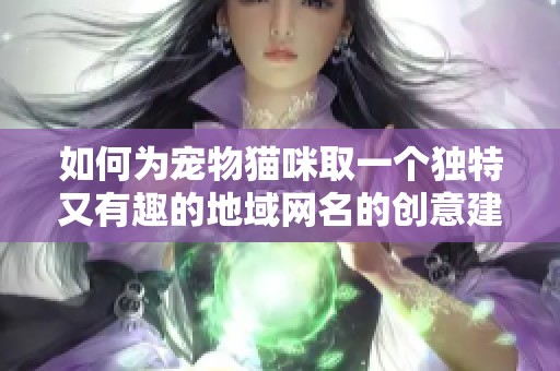 如何为宠物猫咪取一个独特又有趣的地域网名的创意建议