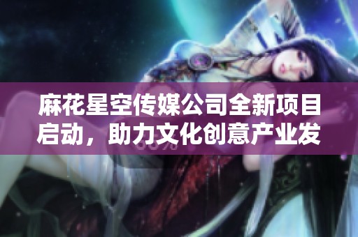 麻花星空传媒公司全新项目启动，助力文化创意产业发展