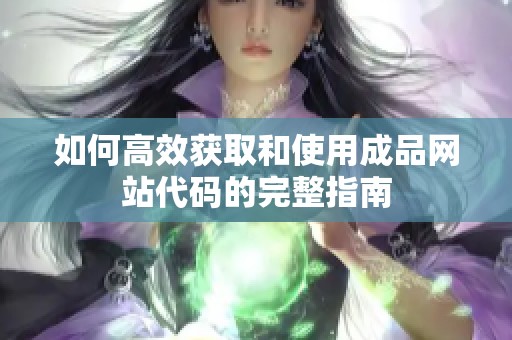 如何高效获取和使用成品网站代码的完整指南