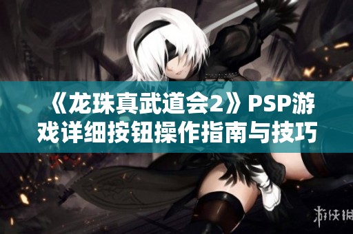 《龙珠真武道会2》PSP游戏详细按钮操作指南与技巧分享