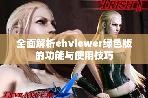 全面解析ehviewer绿色版的功能与使用技巧