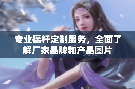 专业摇杆定制服务，全面了解厂家品牌和产品图片