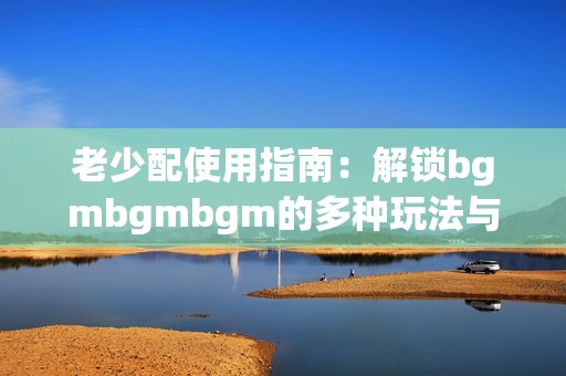 老少配使用指南：解锁bgmbgmbgm的多种玩法与技巧