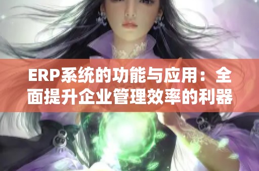 ERP系统的功能与应用：全面提升企业管理效率的利器