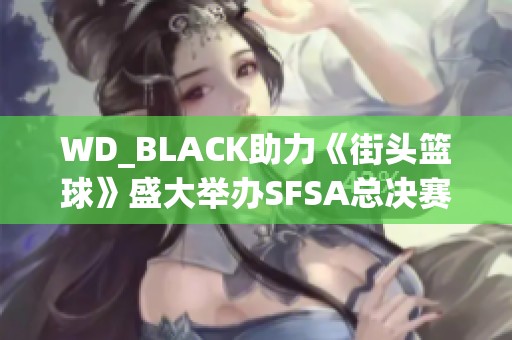 WD_BLACK助力《街头篮球》盛大举办SFSA总决赛 让玩家热血澎湃