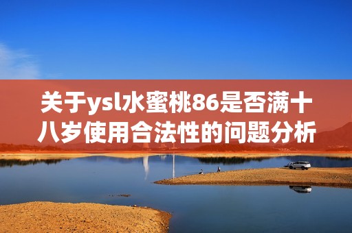 关于ysl水蜜桃86是否满十八岁使用合法性的问题分析