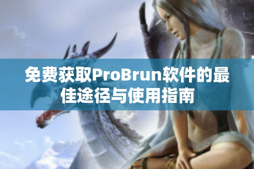 免费获取ProBrun软件的最佳途径与使用指南