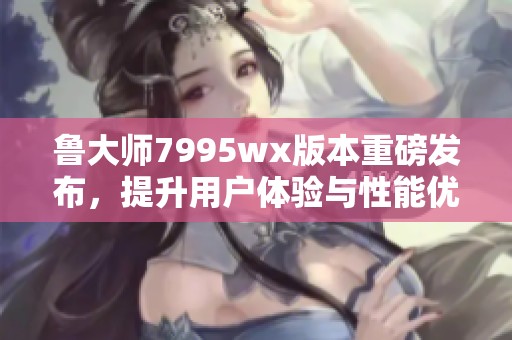 鲁大师7995wx版本重磅发布，提升用户体验与性能优化