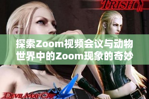 探索Zoom视频会议与动物世界中的Zoom现象的奇妙联系