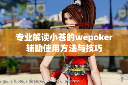 专业解读小苍的wepoker辅助使用方法与技巧