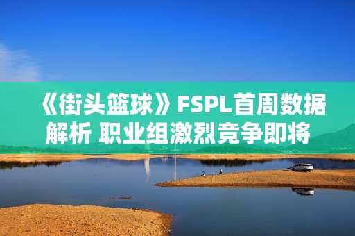 《街头篮球》FSPL首周数据解析 职业组激烈竞争即将开启