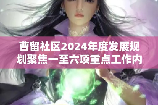 曹留社区2024年度发展规划聚焦一至六项重点工作内容分析