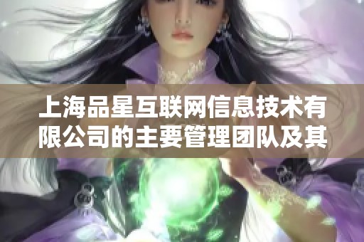 上海品星互联网信息技术有限公司的主要管理团队及其结构分析