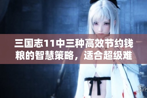 三国志11中三种高效节约钱粮的智慧策略，适合超级难度玩家使用