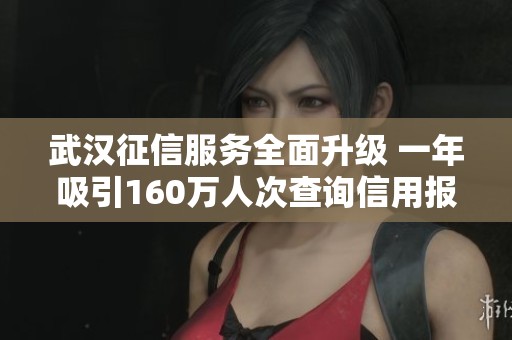 武汉征信服务全面升级 一年吸引160万人次查询信用报告
