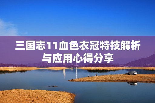 三国志11血色衣冠特技解析与应用心得分享
