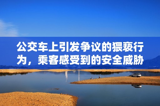 公交车上引发争议的猥亵行为，乘客感受到的安全威胁