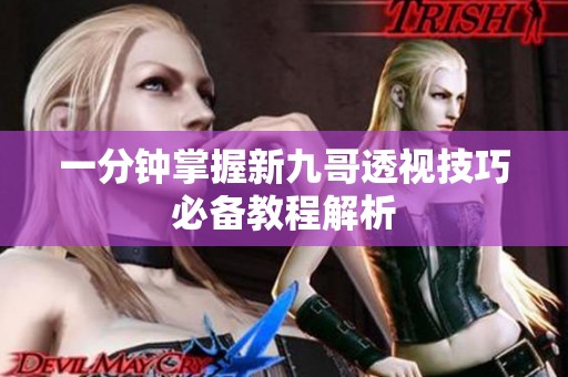 一分钟掌握新九哥透视技巧必备教程解析
