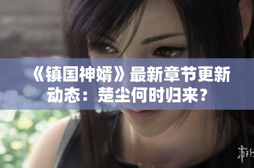 《镇国神婿》最新章节更新动态：楚尘何时归来？