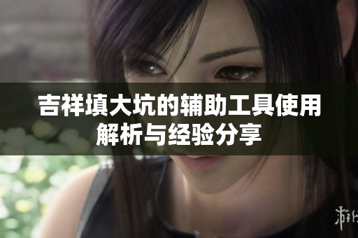 吉祥填大坑的辅助工具使用解析与经验分享