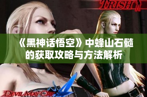 《黑神话悟空》中蜂山石髓的获取攻略与方法解析