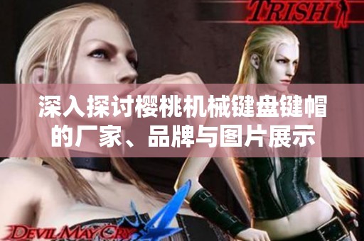 深入探讨樱桃机械键盘键帽的厂家、品牌与图片展示