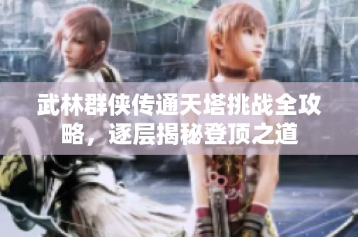 武林群侠传通天塔挑战全攻略，逐层揭秘登顶之道