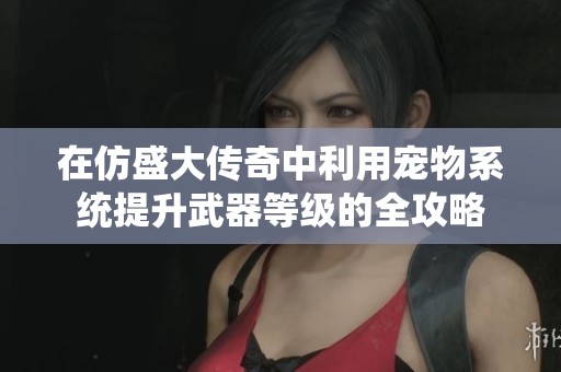 在仿盛大传奇中利用宠物系统提升武器等级的全攻略