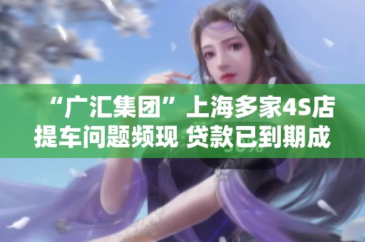 “广汇集团”上海多家4S店提车问题频现 贷款已到期成难题