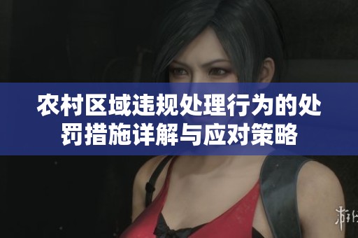 农村区域违规处理行为的处罚措施详解与应对策略