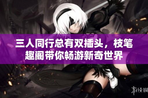 三人同行总有双插头，枝笔趣阁带你畅游新奇世界