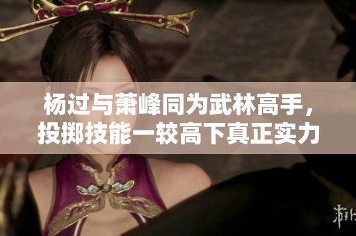杨过与萧峰同为武林高手，投掷技能一较高下真正实力差异大