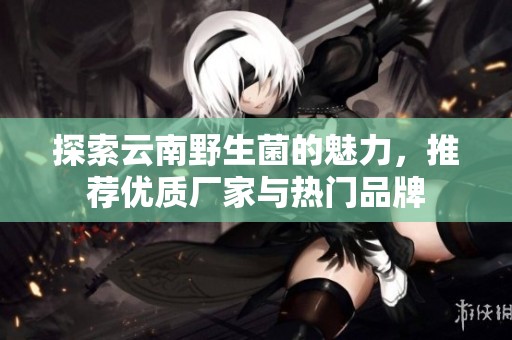 探索云南野生菌的魅力，推荐优质厂家与热门品牌