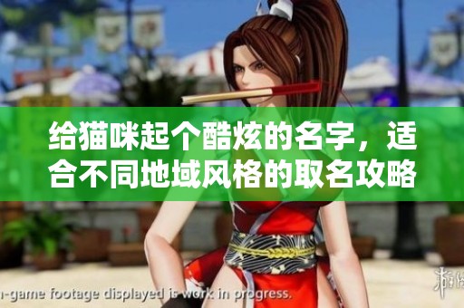 给猫咪起个酷炫的名字，适合不同地域风格的取名攻略