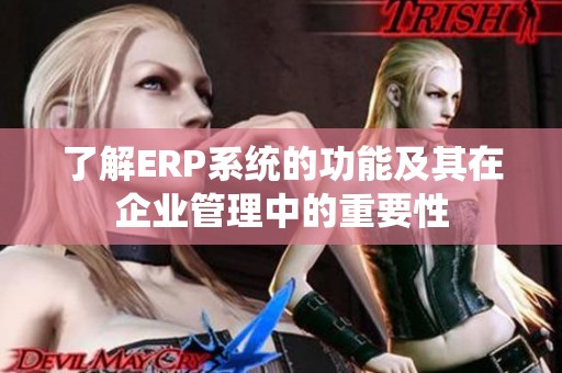 了解ERP系统的功能及其在企业管理中的重要性