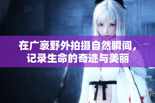 在广袤野外拍摄自然瞬间，记录生命的奇迹与美丽