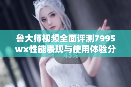 鲁大师视频全面评测7995wx性能表现与使用体验分析