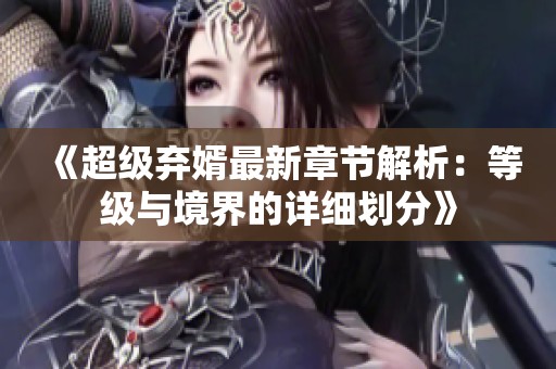 《超级弃婿最新章节解析：等级与境界的详细划分》