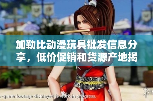 加勒比动漫玩具批发信息分享，低价促销和货源产地揭秘
